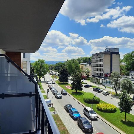 Apartament Przy Plantach Новий Сонч Екстер'єр фото